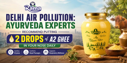 bilona ghee in delhi